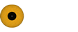 BigSEE Wood Design Award